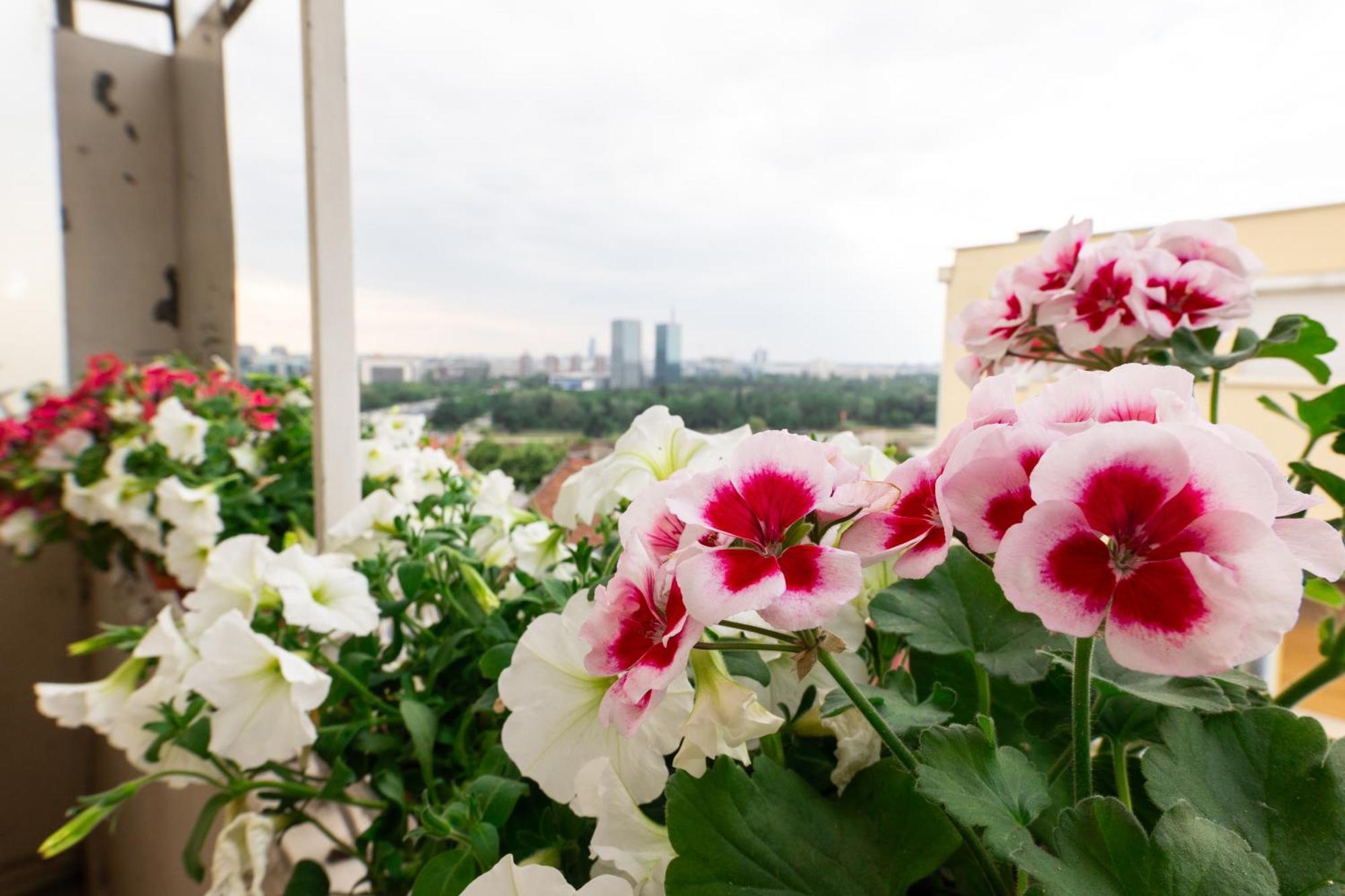 Ugi House - City Center Beograd Ngoại thất bức ảnh